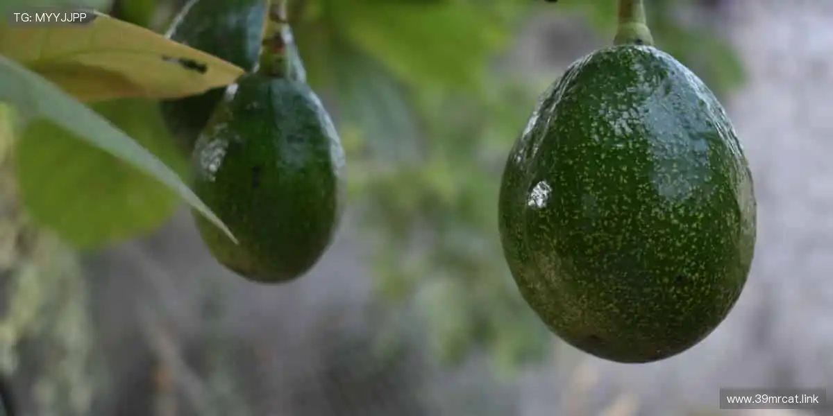 🎯从球衣到球鞋，每一件都是热爱的形状！